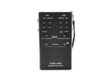 Spirit Box